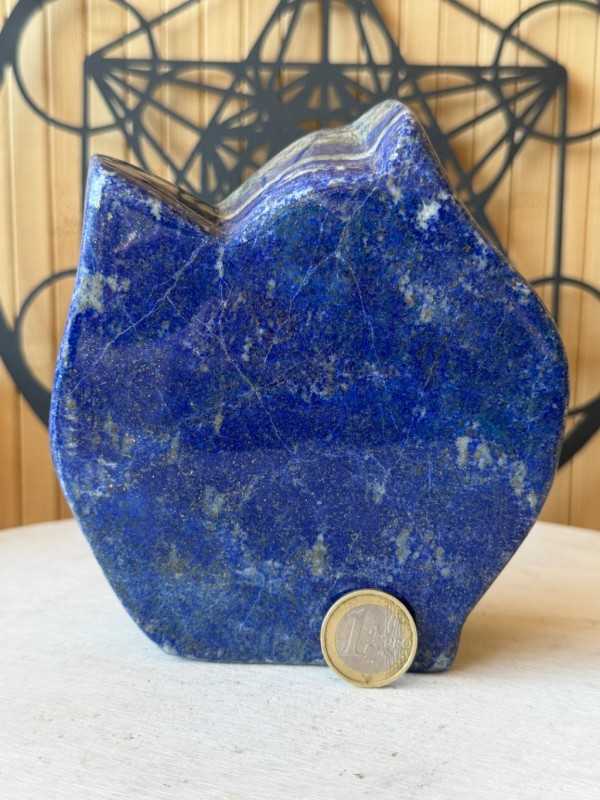 Lapis lazuli (1.67kg)