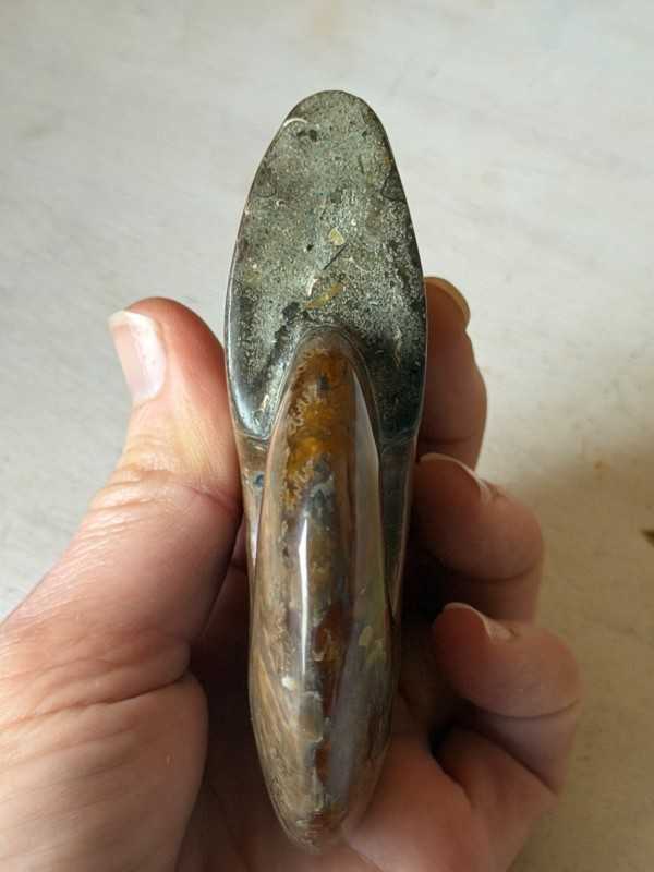 Ammonite (0.21kg)