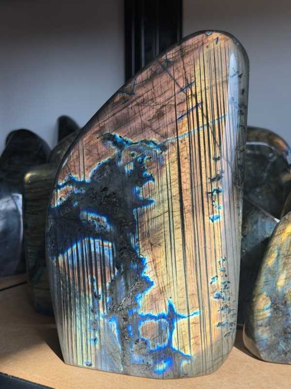 Labradorite (3.1kg)