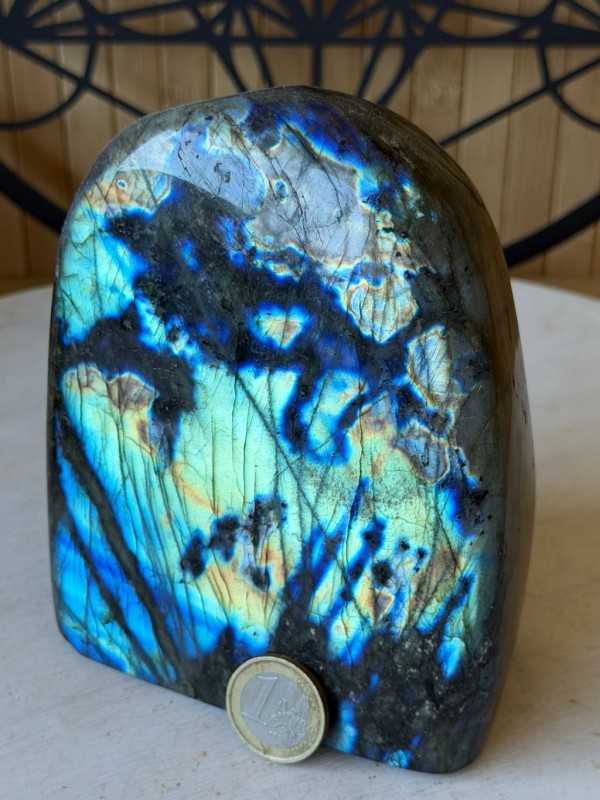 Labradorite (1.55kg)
