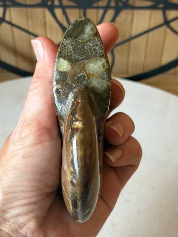 Ammonite nacrée (0.34kg)
