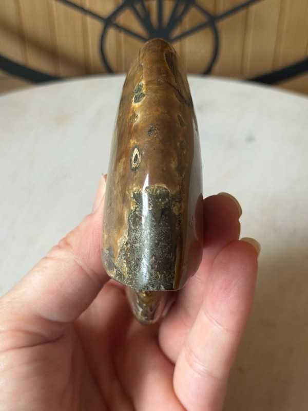 Ammonites nacrée (0.33kg)
