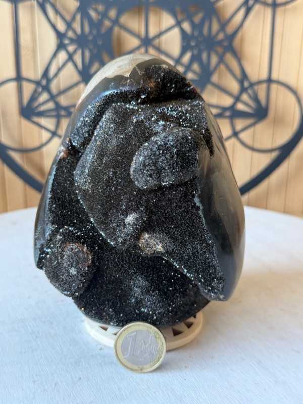Septaria sauvage (1.64kg)