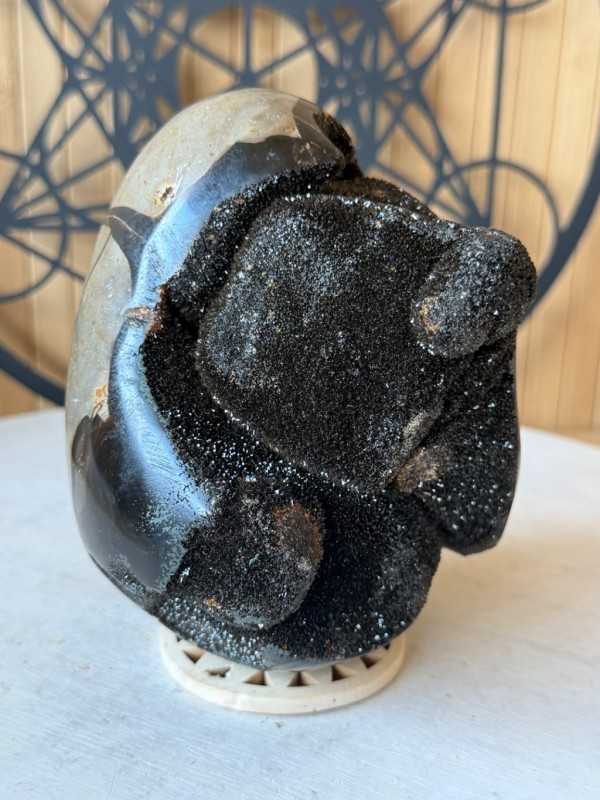 Septaria sauvage (1.64kg)