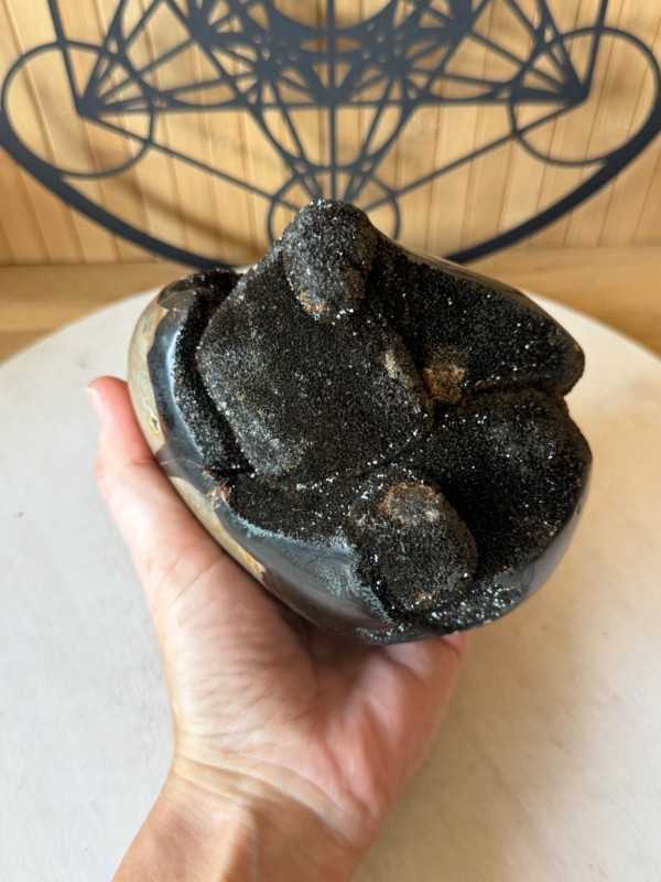 Septaria sauvage (1.64kg)
