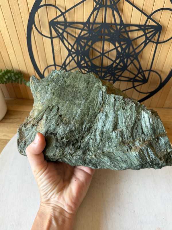 Actinote (3.25kg)