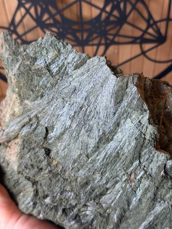 Actinote (3.25kg)
