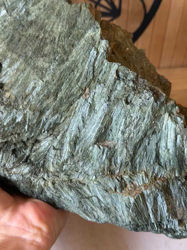 Actinote (3.25kg)