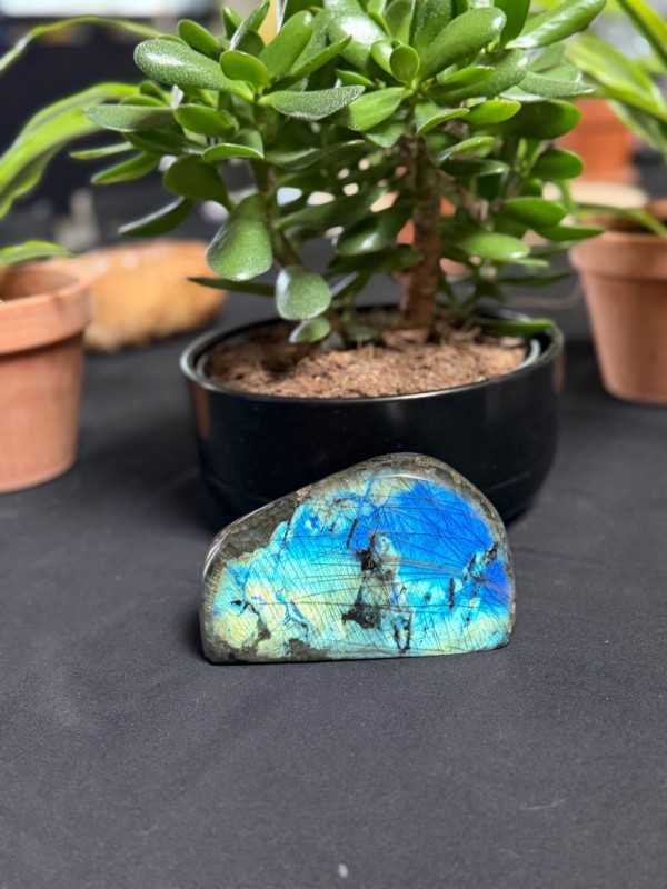 Labradorite (1.255kg)