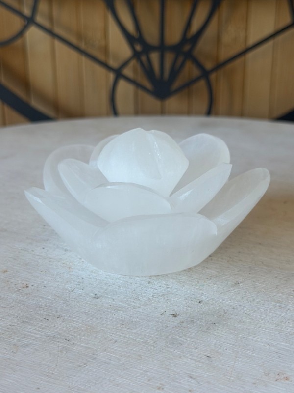 Fleur de lotus en sélénite (0.18kg)