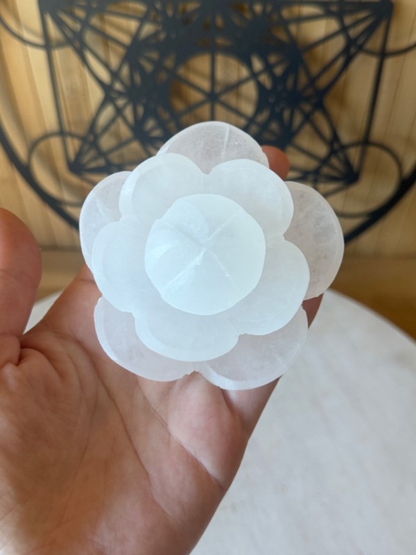 Fleur de lutins en sélénite (0.19kg)