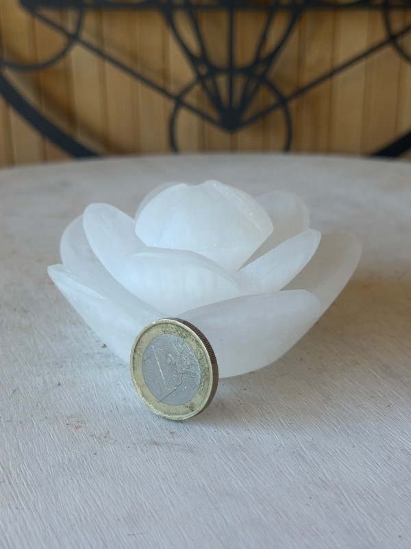 Fleur de lutins en sélénite (0.19kg)