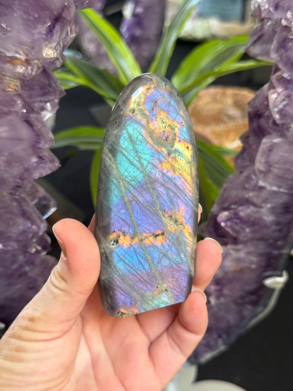 Labradorite violette (0.205kg)