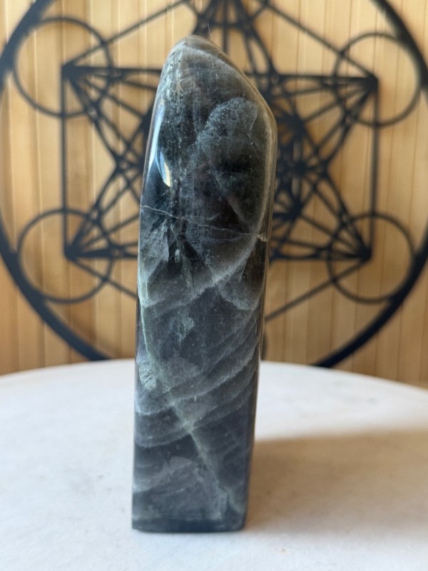 Labradorite violette (1.69kg)