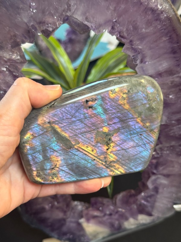 Labradorite violette (0.715kg)