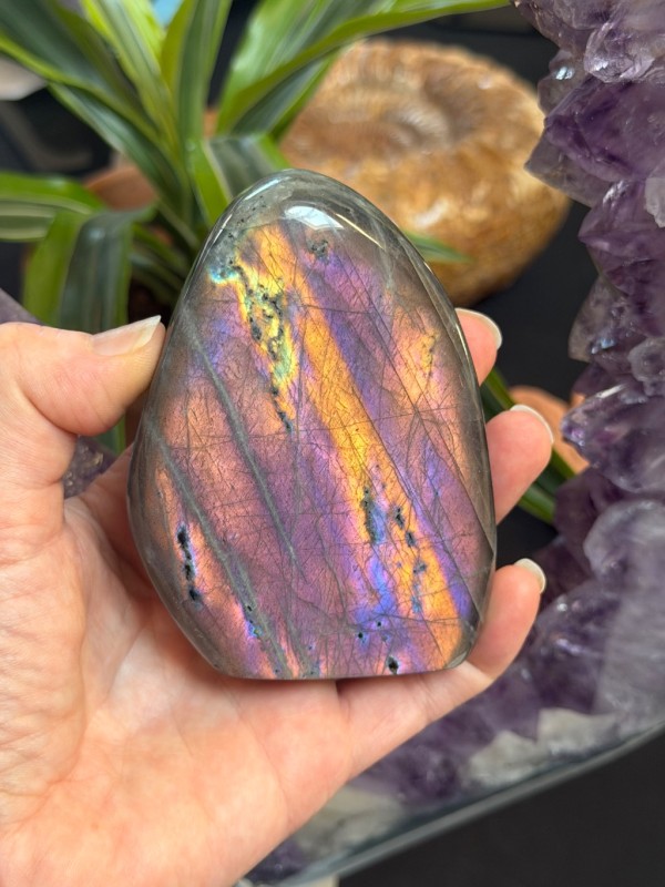 Labradorite violette (0.36kg)