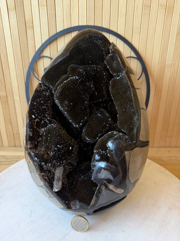 Septaria sauvage (7.3kg)