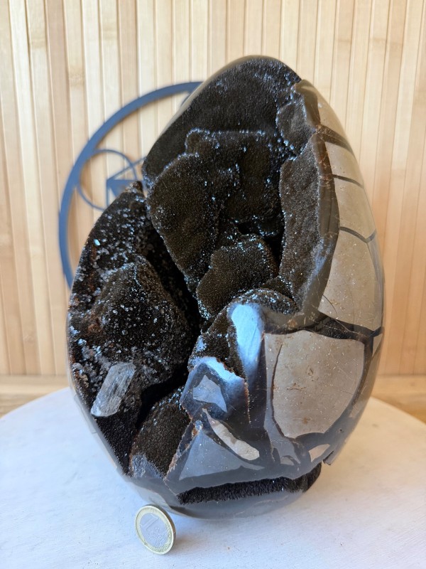 Septaria sauvage (7.3kg)