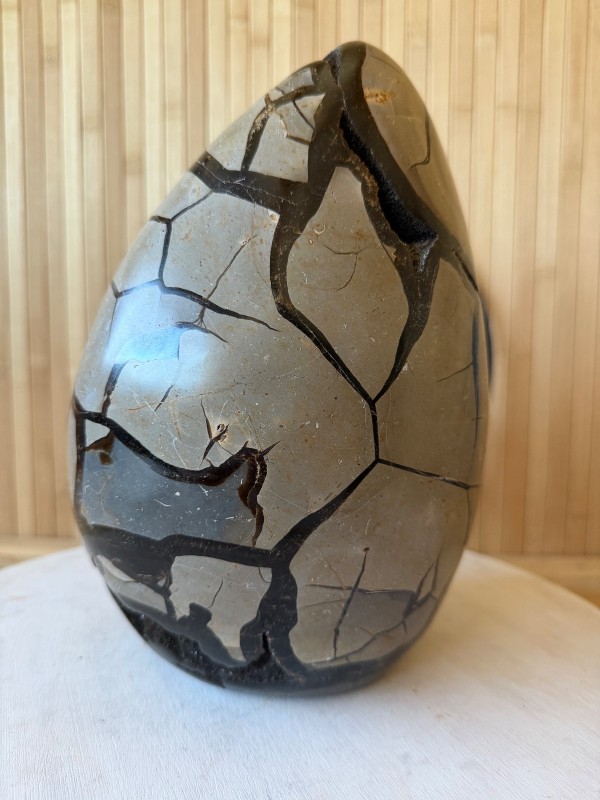 Septaria sauvage (7.3kg)