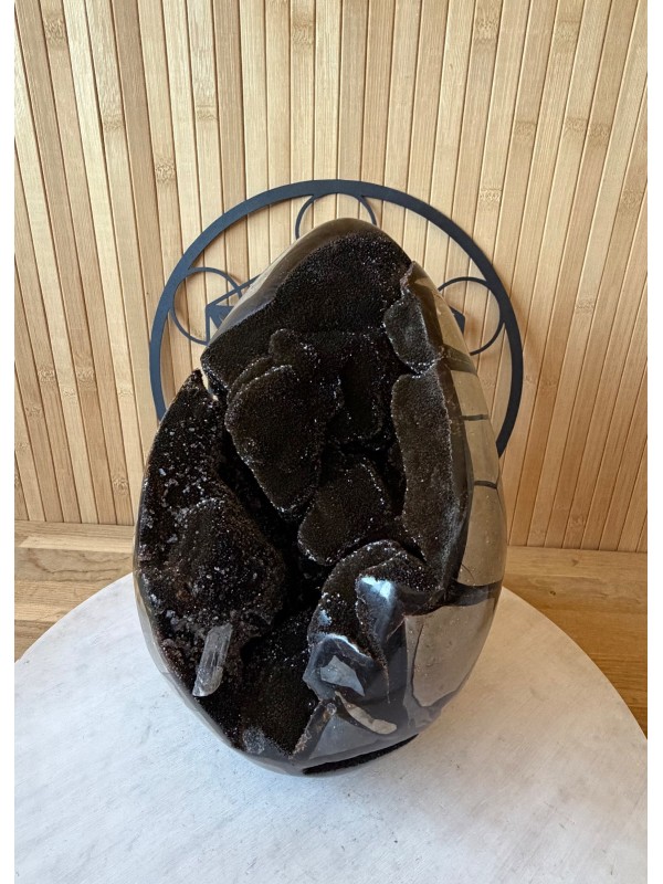 Septaria sauvage (7.3kg)