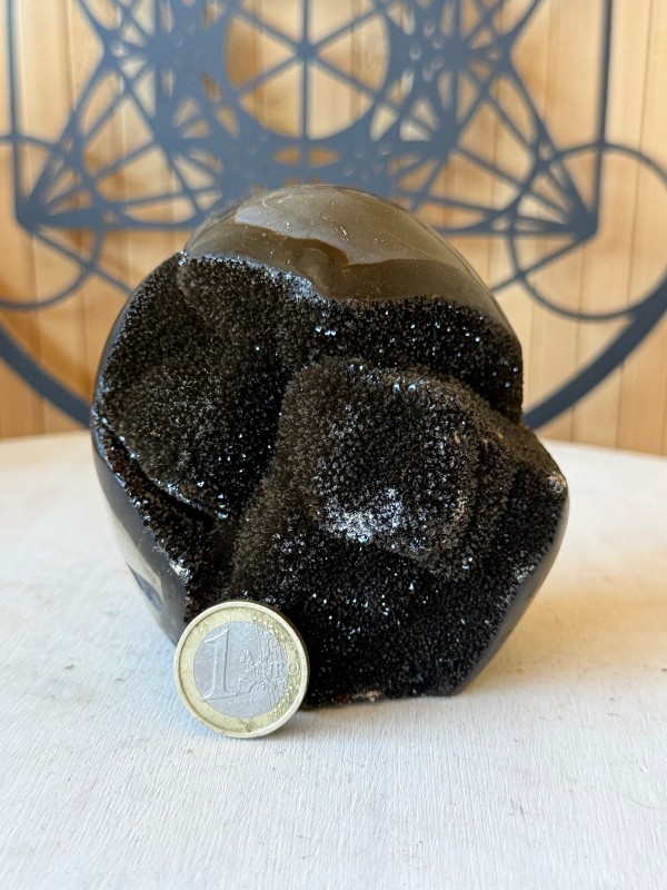 Septaria sauvage (0.67kg)