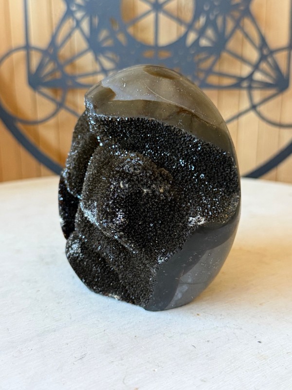 Septaria sauvage (0.67kg)