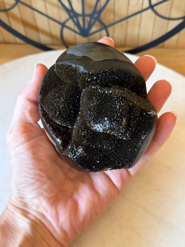 Septaria sauvage (0.67kg)