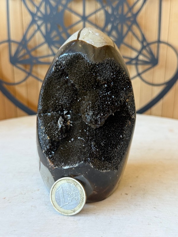 Septaria sauvage (0.67kg)