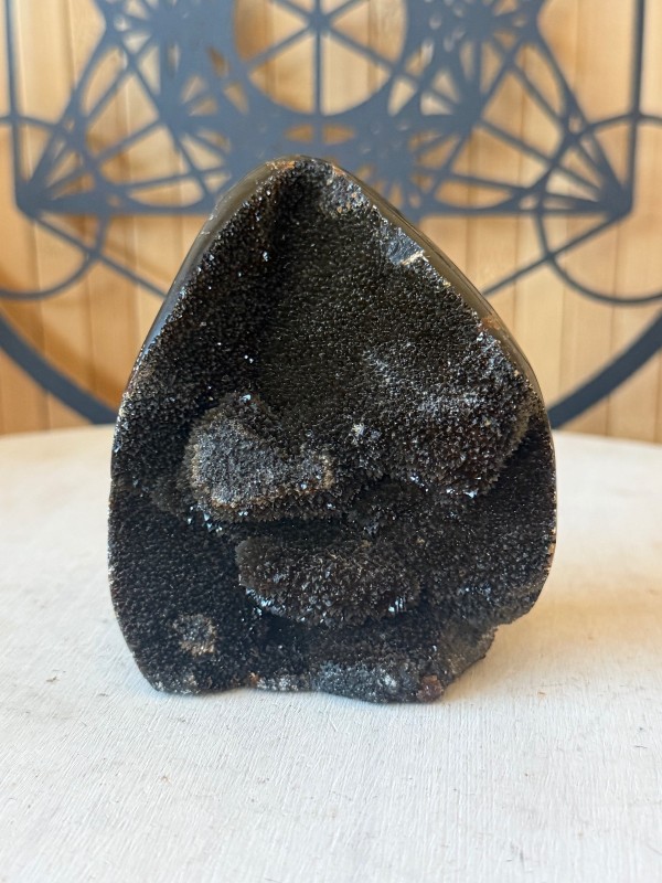 Septaria sauvage (0.425kg)