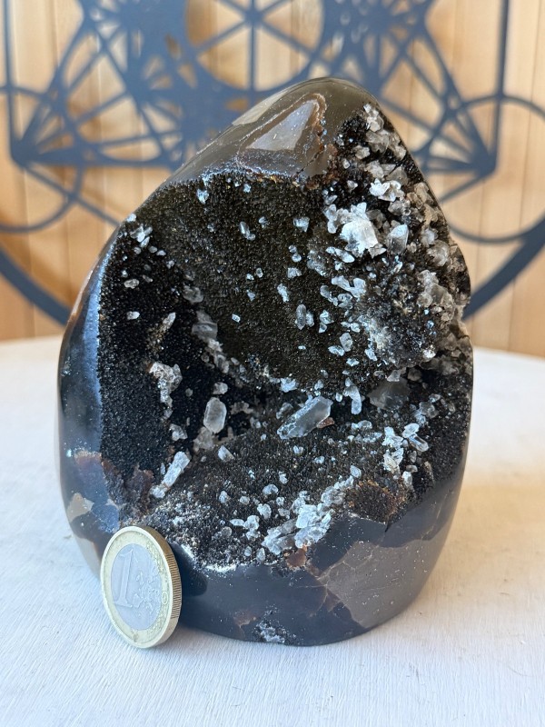 Septaria sauvage (0.91kg)