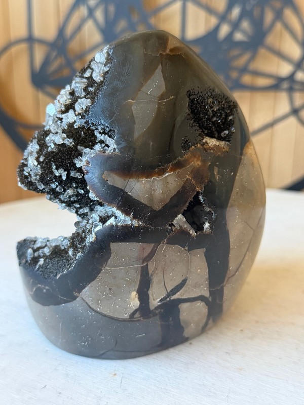 Septaria sauvage (0.91kg)