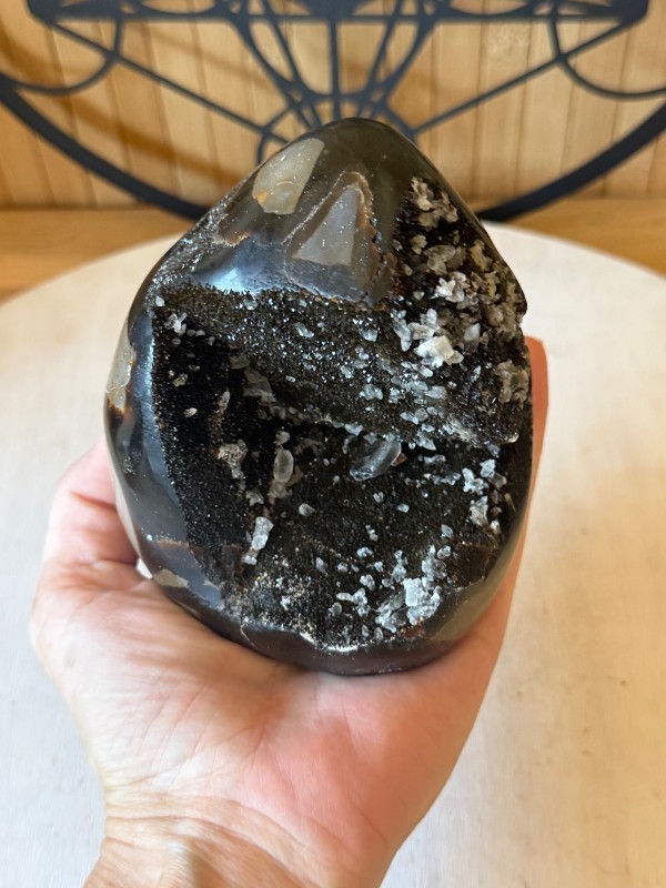 Septaria sauvage (0.91kg)