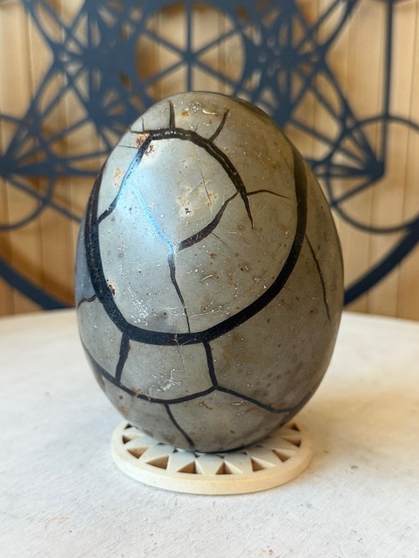 Septaria sauvage (0.65kg)