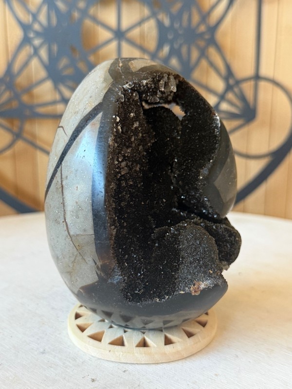 Septaria sauvage (0.65kg)