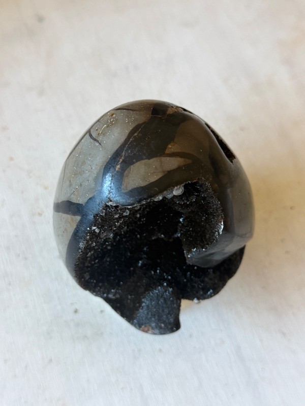Septaria sauvage (0.65kg)