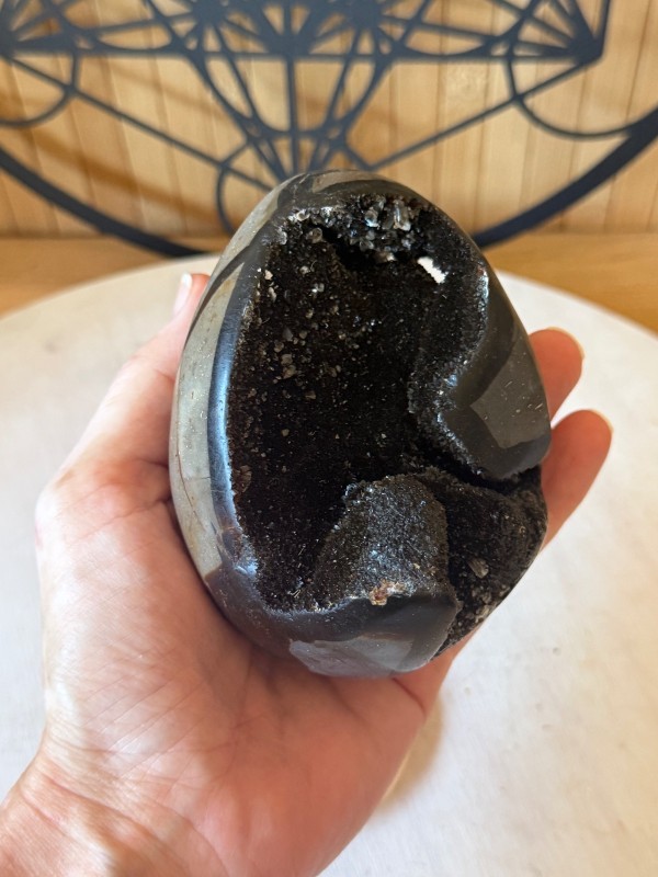 Septaria sauvage (0.65kg)
