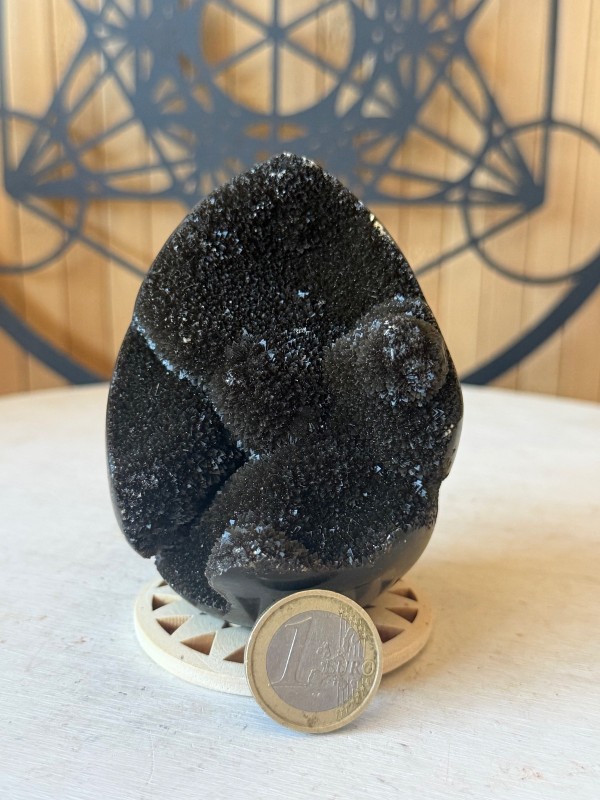 Septaria sauvage (0.445kg)