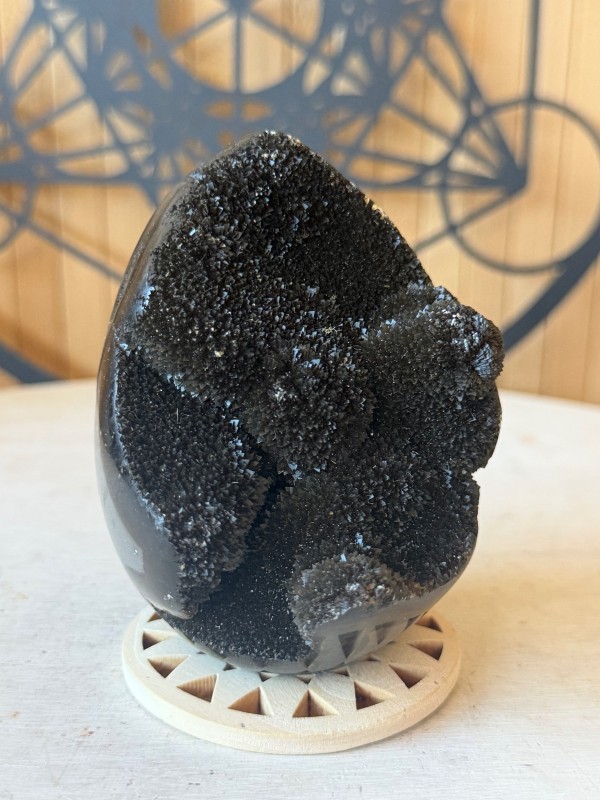 Septaria sauvage (0.445kg)
