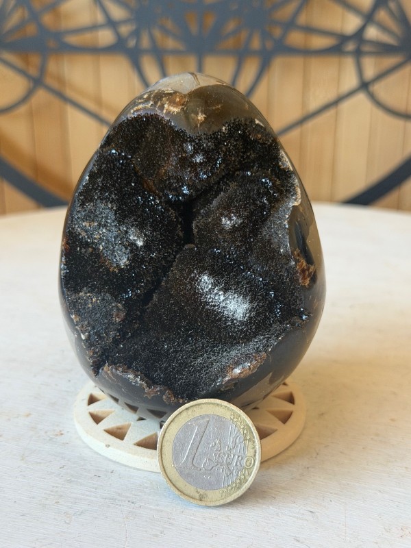 Septaria sauvage (0.42kg)