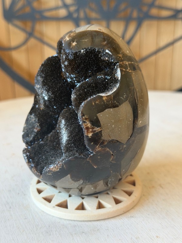 Septaria sauvage (0.42kg)