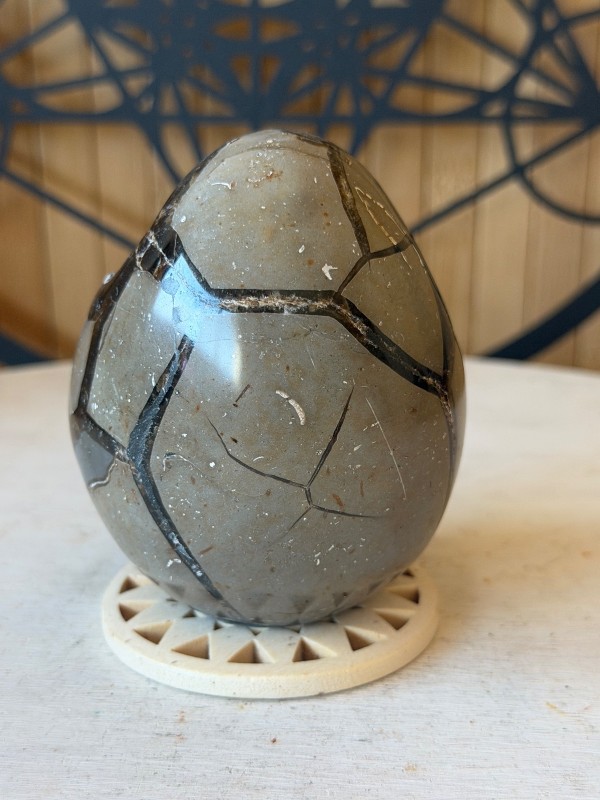 Septaria sauvage (0.42kg)