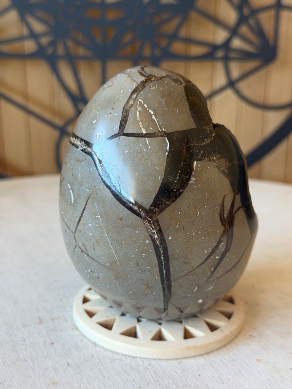 Septaria sauvage (0.42kg)