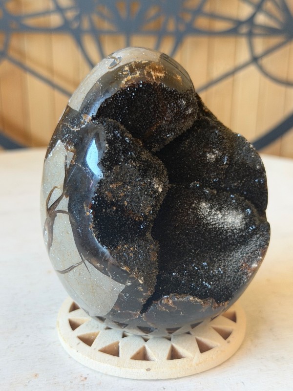 Septaria sauvage (0.42kg)