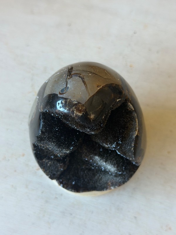 Septaria sauvage (0.42kg)