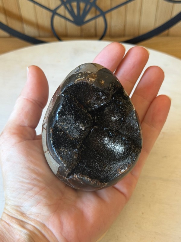 Septaria sauvage (0.42kg)