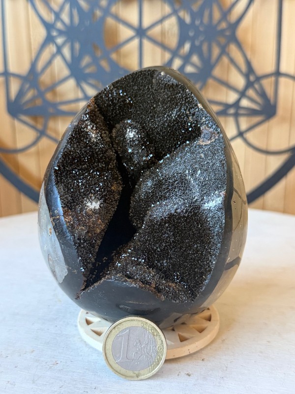 Septaria sauvage (0.82kg)