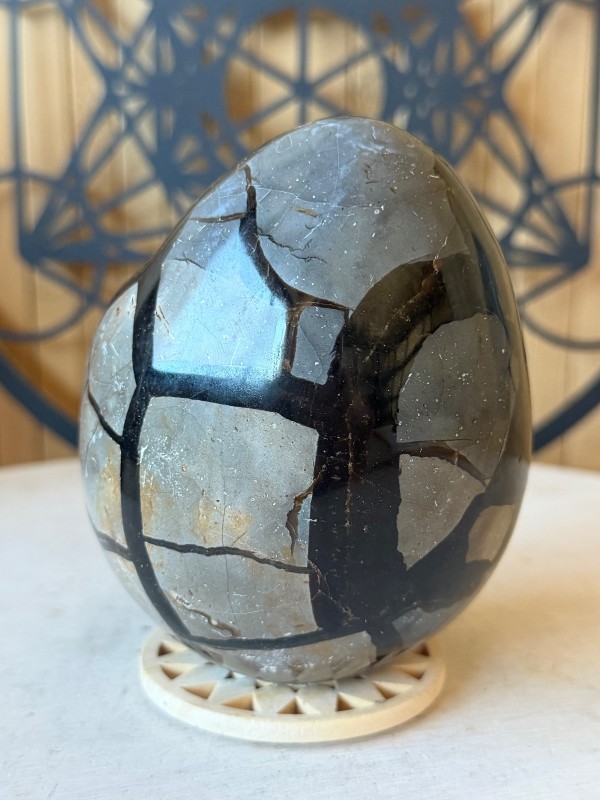 Septaria sauvage (0.82kg)