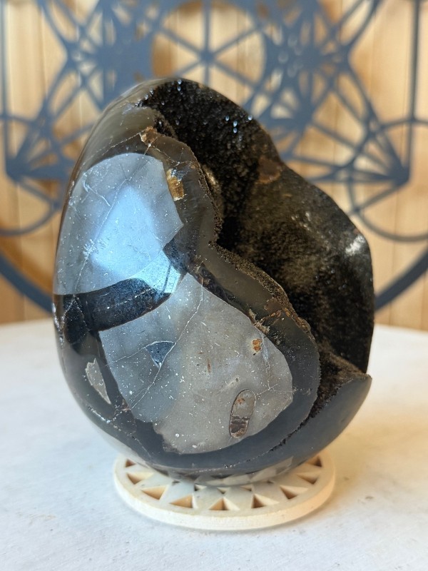 Septaria sauvage (0.82kg)
