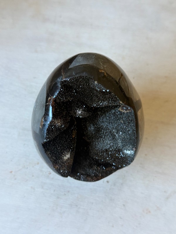 Septaria sauvage (0.82kg)