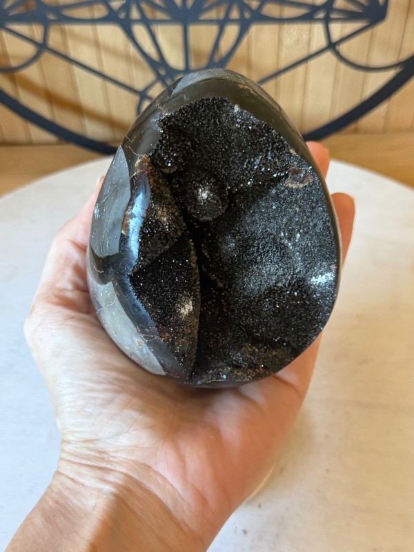 Septaria sauvage (0.82kg)
